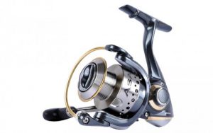 Pflueger Asaro