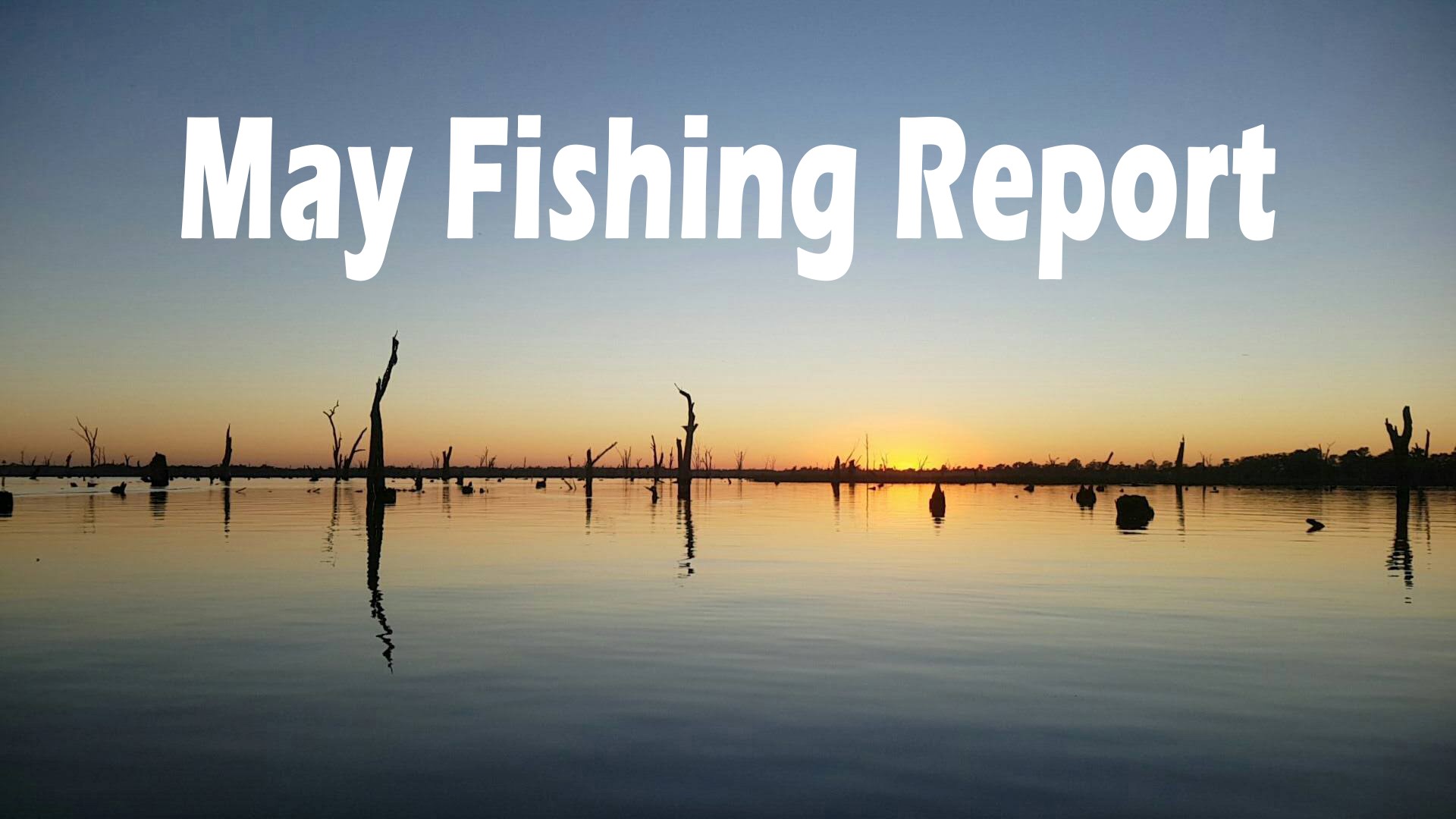 May Fishing Report - Boats And More
