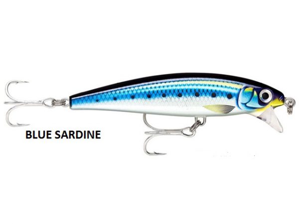 BLUE SARDINE