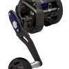 Daiwa Saltiga Bj 200H Reel