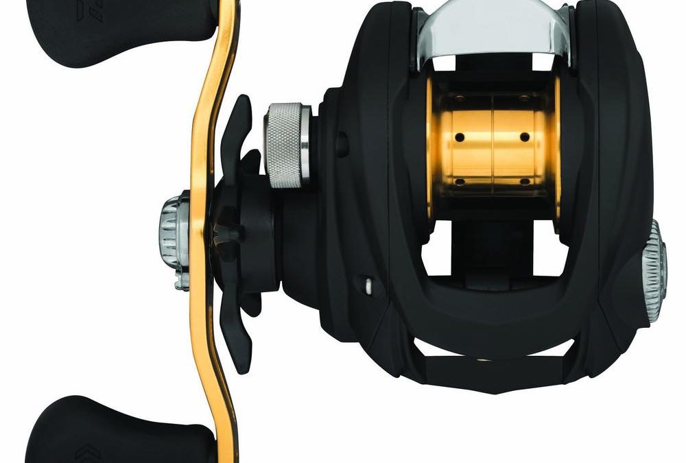 Daiwa Laguna 100Hda Reel