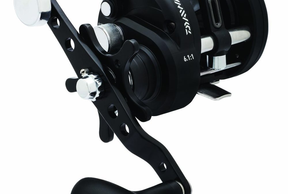 Daiwa Saltist Lw30H-C Reel