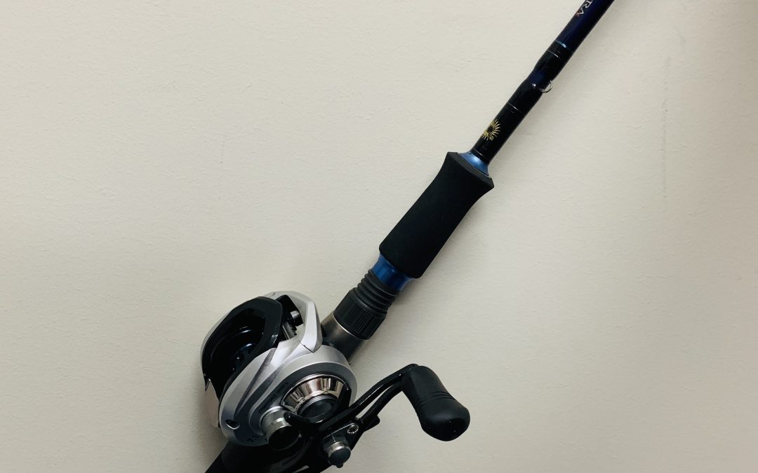 Daiwa Tierra Combo